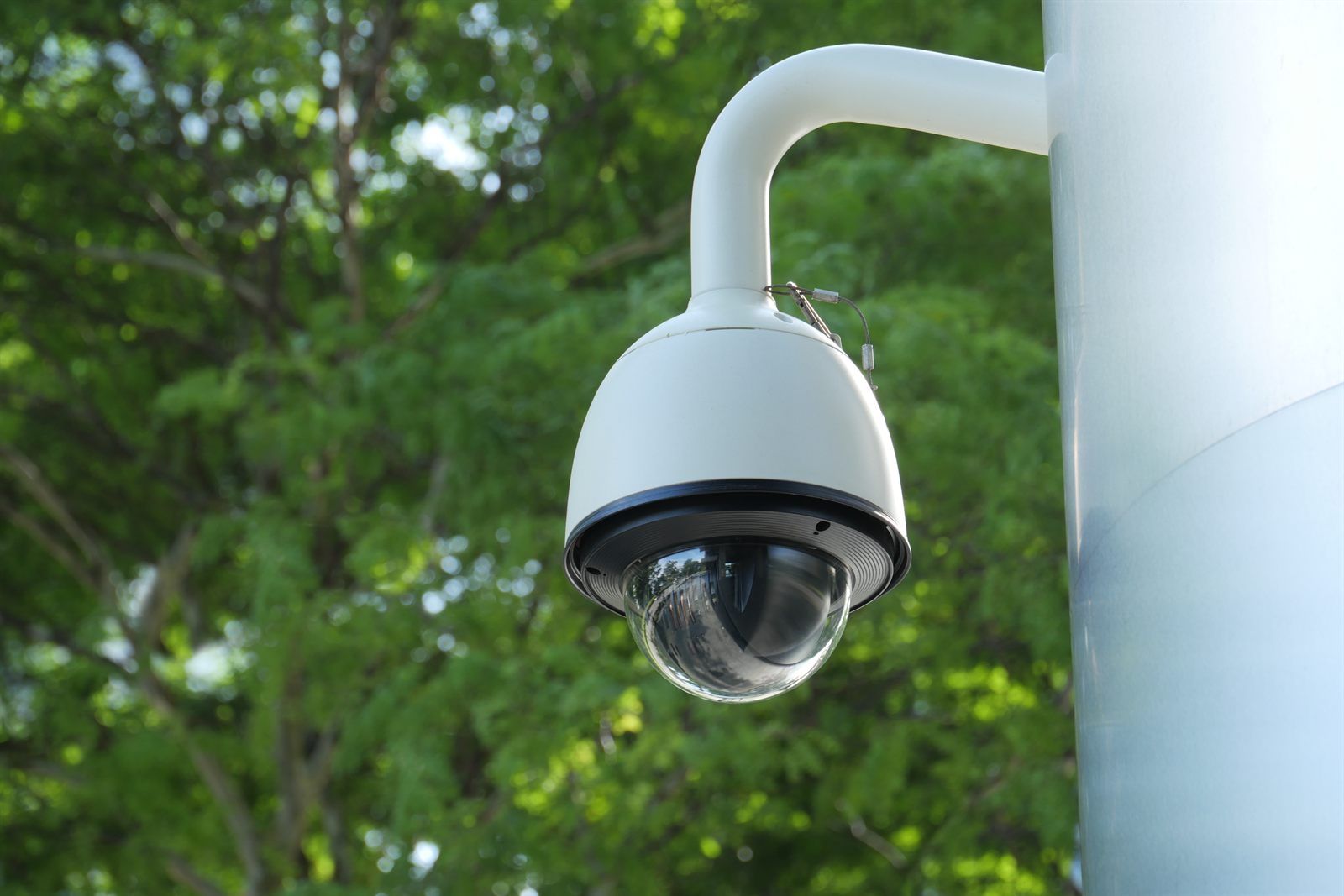 White dome PTZ security camera on a wall-mounted arm, with sunlit trees behind it